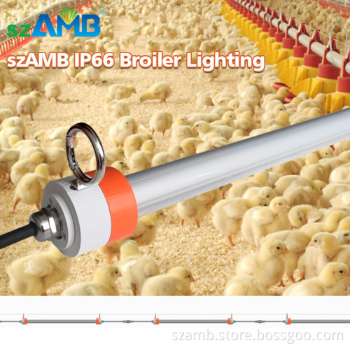 9w led tube light t8 34